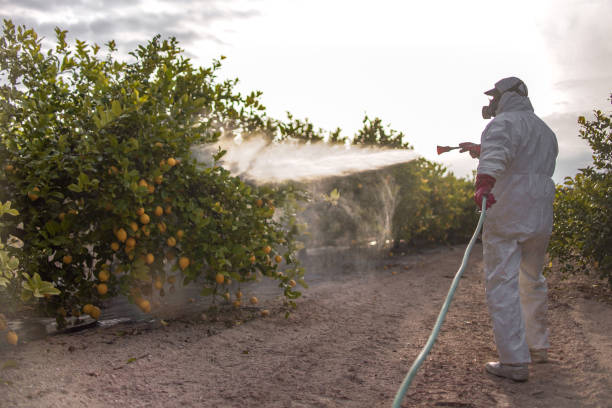 Best Pest Removal Services  in Dexter, MI