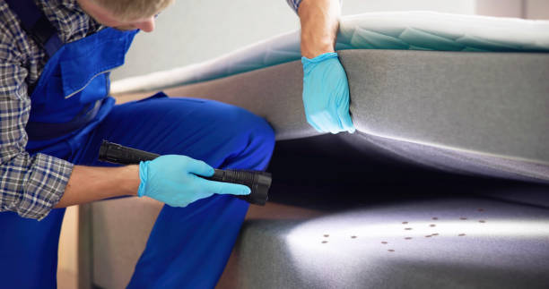 Best Pest Inspection Near Me  in Dexter, MI