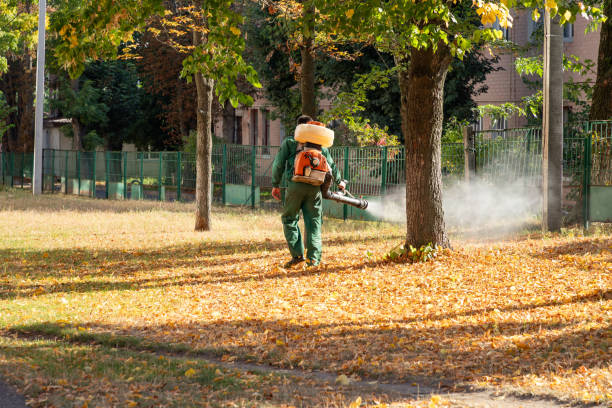 Best Bed Bug Extermination  in Dexter, MI