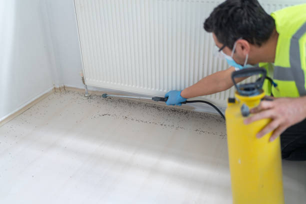 Best Bed Bug Extermination  in Dexter, MI