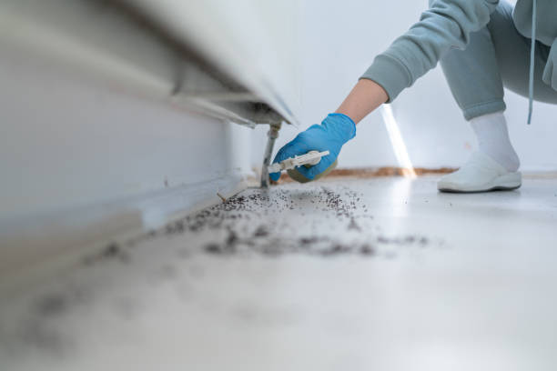 Best Pest Prevention Services  in Dexter, MI
